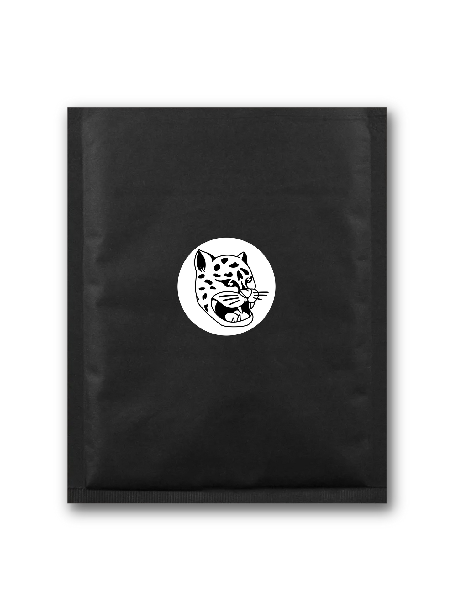 🧨 SINNER’S STARTER KIT